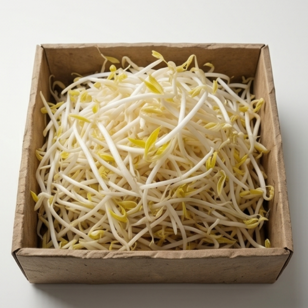 씻은 숙주 (500g)