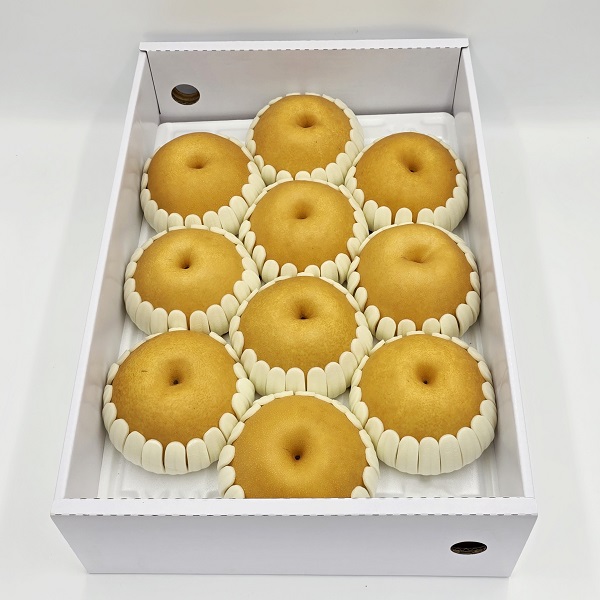 [공동구매_일괄발송] 배 1박스 (7.5kg)
